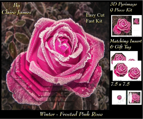 Winter - Frosted Pink Rose - Pyrimage/pyramid + Insert & Tag