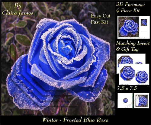 Winter - Frosted Blue Rose - Pyrimage/pyramid + Insert & Tag