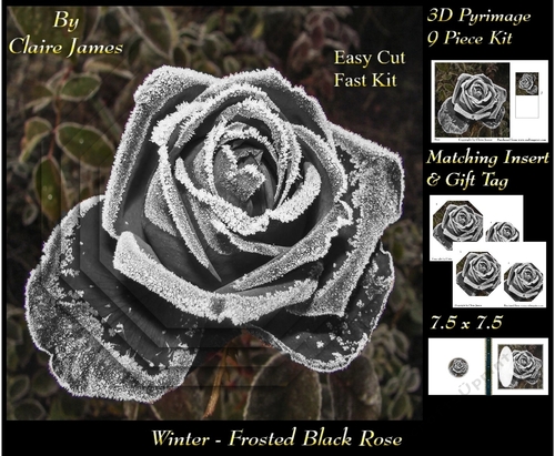 Winter - Frosted Black Rose - Pyrimage/pyramid + Insert & Tag