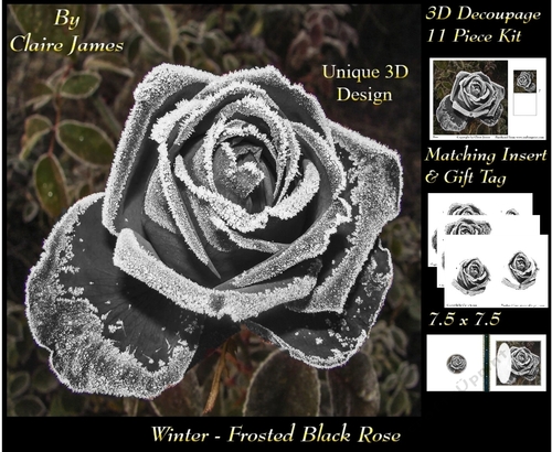 Winter - Frosted Black Rose - Decoupage + Insert & Tag