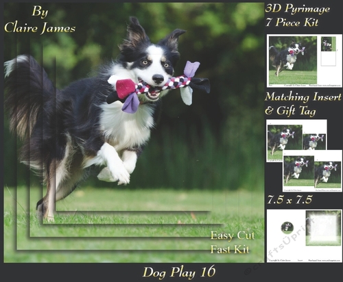 Furry Friends & Familiars - Dog Play 16 - Pyrimage/pyramid + Insert & Tag