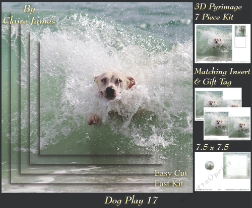 Furry Friends & Familiars - Dog Play 17 - Pyrimage/pyramid + Insert & Tag