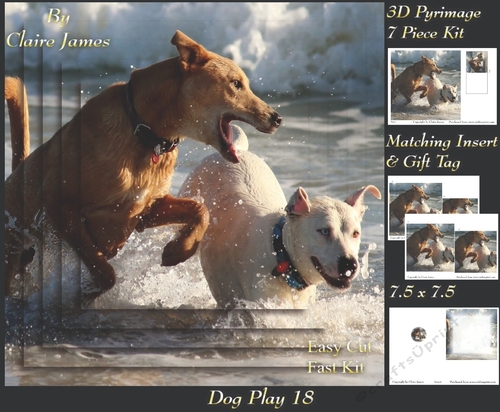 Furry Friends & Familiars - Dog Play 18 - Pyrimage/pyramid + Insert & Tag
