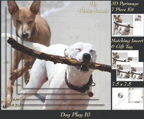 Furry Friends & Familiars - Dog Play 19 - Pyrimage/pyramid + Insert & Tag