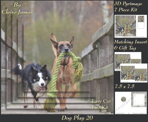 Furry Friends & Familiars - Dog Play 20 - Pyrimage/pyramid + Insert & Tag