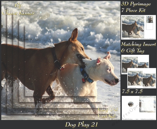 Furry Friends & Familiars - Dog Play 21 - Pyrimage/pyramid + Insert & Tag