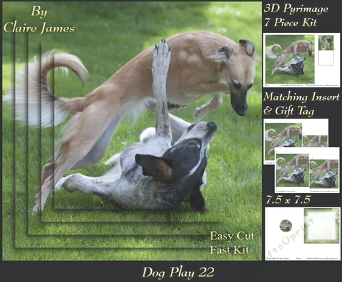 Furry Friends & Familiars - Dog Play 22 - Pyrimage/pyramid + Insert & Tag
