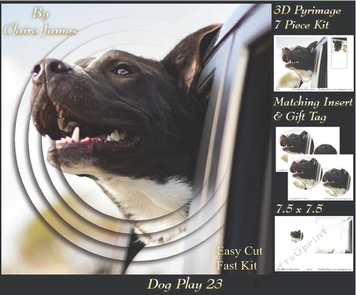 Furry Friends & Familiars - Dog Play 23 - Pyrimage/pyramid + Insert & Tag