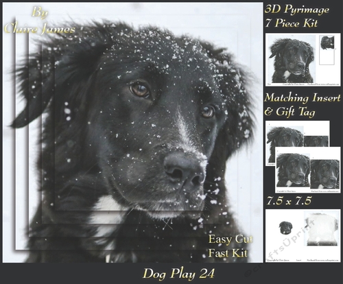 Furry Friends & Familiars - Dog Play 24 - Pyrimage/pyramid + Insert & Tag
