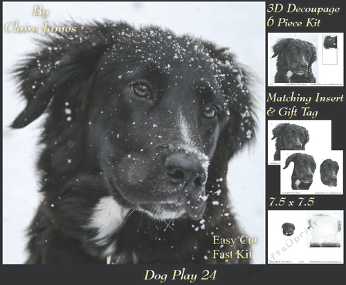 Furry Friends & Familiars - Dog Play 24 - Decoupage + Insert & Tag
