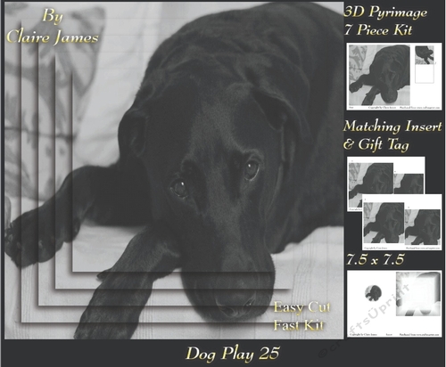 Furry Friends & Familiars - Dog Play 25 - Pyrimage/pyramid + Insert & Tag