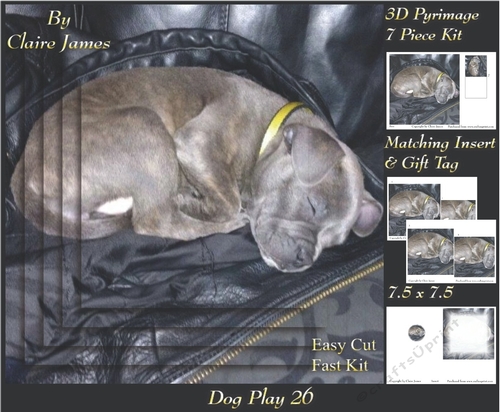 Furry Friends & Familiars - Dog Play 26 - Dads Comfy Leather - Pyrimage/pyramid + Insert & Tag