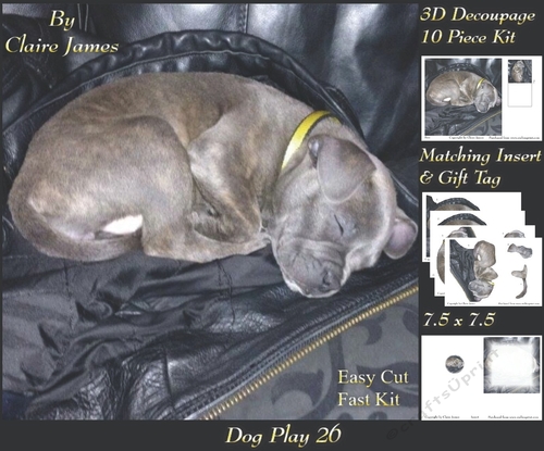 Furry Friends & Familiars - Dog Play 26 - Dads Comfy Leather - Decoupage + Insert & Tag