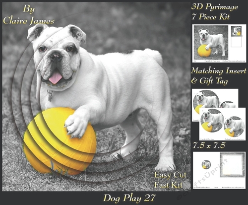 Furry Friends & Familiars - Dog Play 27 - Pyrimage/pyramid + Insert & Tag
