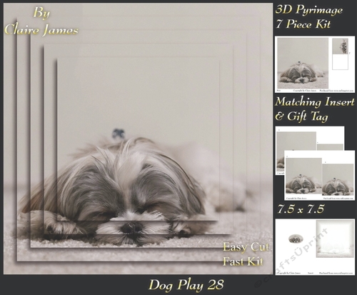 Furry Friends & Familiars - Dog Play 28 - Pyrimage/pyramid + Insert & Tag