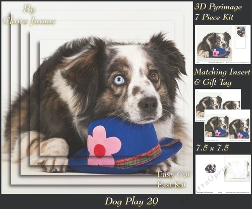 Furry Friends & Familiars - Dog Play 29 - Pyrimage/pyramid + Insert & Tag