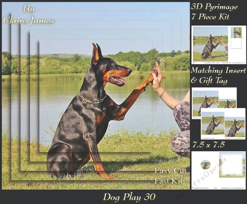 Furry Friends & Familiars - Dog Play 30 - Pyrimage/pyramid + Insert & Tag