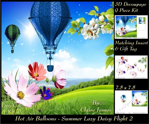 Hot Air Balloons - Balloon Daisy Flight 2 - 3D Decoupage + Insert & Tag