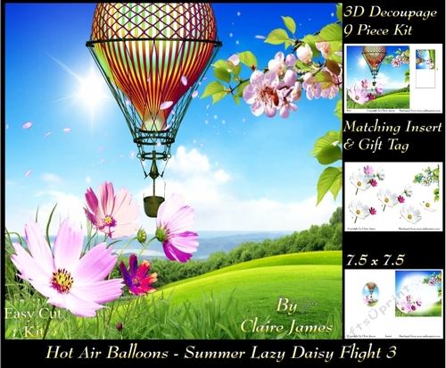 Hot Air Balloons - Balloon Daisy Flight 3 - 3D Decoupage + Insert & Tag