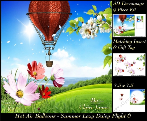 Hot Air Balloons - Balloon Daisy Flight 6 - 3D Decoupage + Insert & Tag