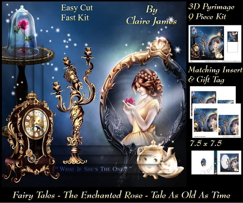 Fairy Tales - The Enchanted Rose - Tale As Old As Time 10 - Pyrimage/Pyramid + Insert & Tag