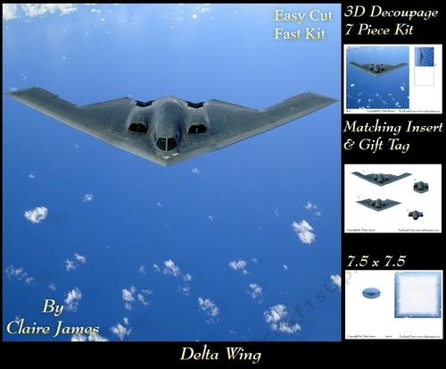 Planes - Delta Wing - 3D Decoupage + Insert & Tag