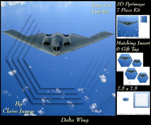 Planes - Delta Wing - Pyrimage/Pyramid + Insert & Tag
