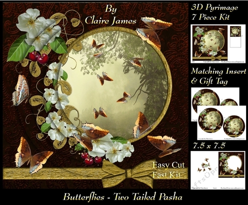 Butterflies - Two Tail Pasha - Pyrimage/Pyramid + Insert & Tag