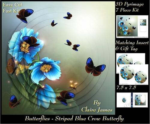 Butterflies - Striped Blue Crow- Pyrimage/Pyramid + Insert & Tag