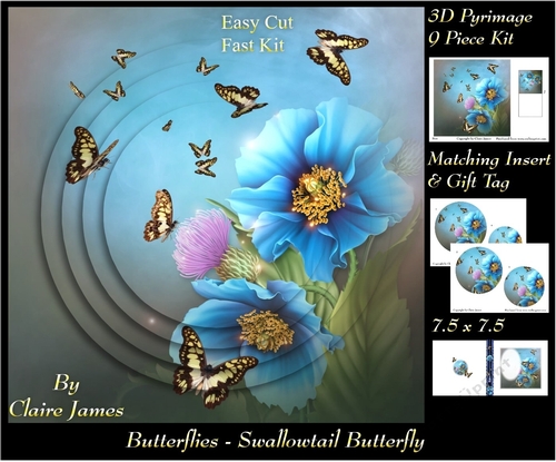 Butterflies - Swallowtail - Pyrimage/Pyramid + Insert & Tag