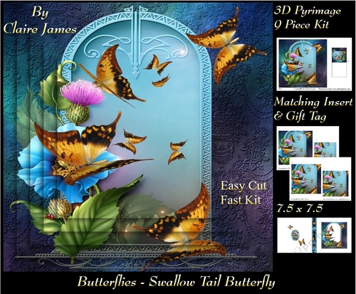 Butterflies - Swallow Tail - Pyrimage/Pyramid + Insert & Tag