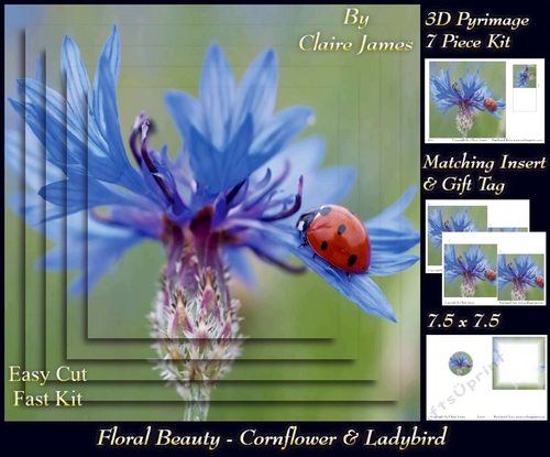 Botanical & Floral - Cornflower & Ladybird 3D Pyrimage + Insert & Tag