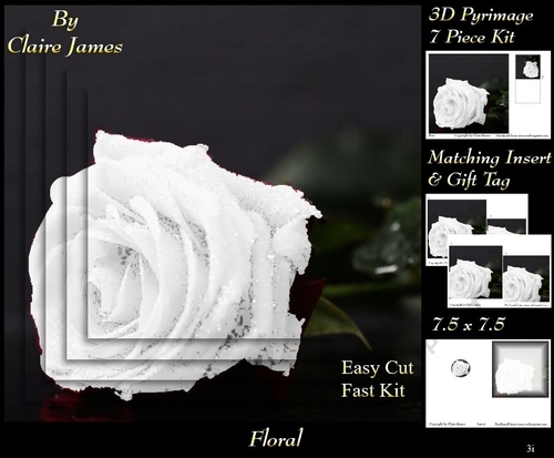 Botanical & Floral 3 - Pure White Rose 3D Pyrimage + Insert & Tag