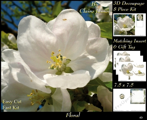 Botanical & Floral - Wild Rose 3D Decoupage + Insert & Tag
