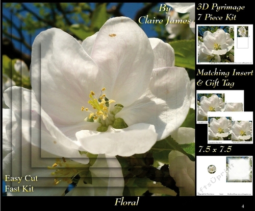 Botanical & Floral - Wild Rose 3D Pyrimage + Insert & Tag