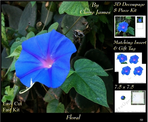 Botanical & Floral - Morning Glory 3D Decoupage + Insert & Tag