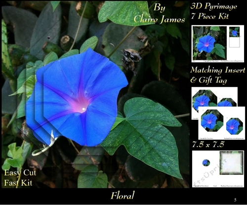 Botanical & Floral - Morning Glory 3D Pyrimage + Insert & Tag