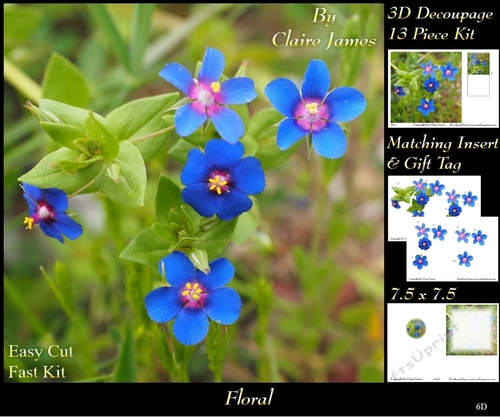 Botanical & Floral - Pimpernel - 3D Decoupage + Insert & Tag