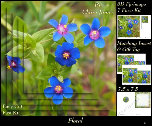 Botanical & Floral - Pimpernel - 3D Pyrimage + Insert & Tag