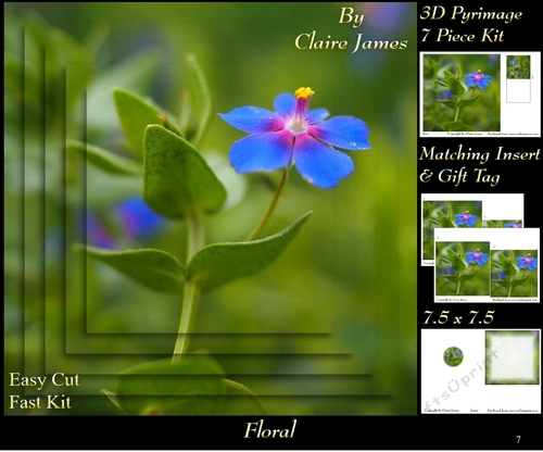 Botanical & Floral - Pimpernel 2 - 3D Pyrimage + Insert & Tag