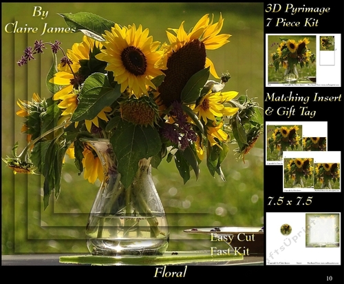 Botanical & Floral - Sunflower Display - 3D Pyrimage + Insert & Tag