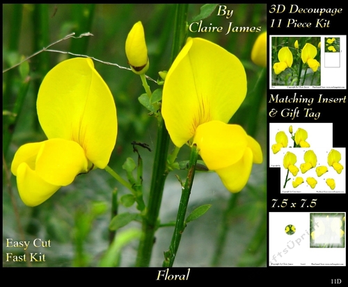 Botanical & Floral - Broom - 3D Decoupage + Insert & Tag