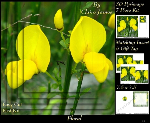 Botanical & Floral - Broom - 3D Pyrimage + Insert & Tag