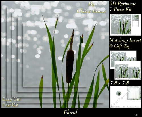Botanical & Floral - Bull Rush - 3D Pyrimage + Insert & Tag