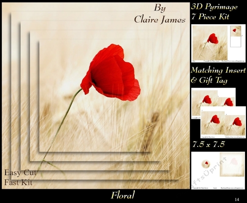 Botanical & Floral - Poppy In Cornfield - 3D Pyrimage + Insert & Tag