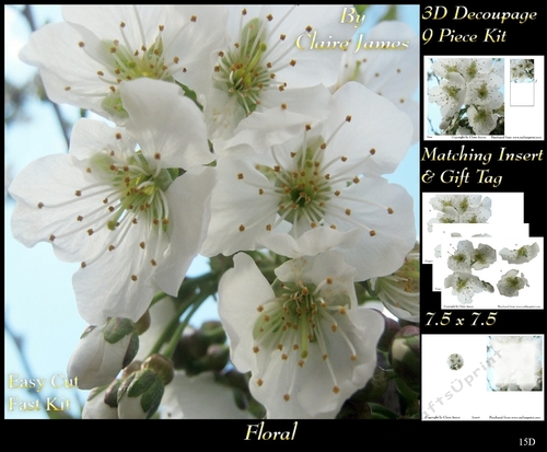 Botanical & Floral - Apple Blossom - 3D Decoupage + Insert & Tag