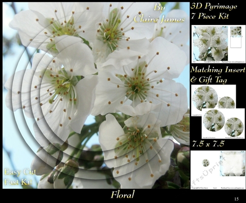 Botanical & Floral - Apple Blossom - 3D Pyrimage + Insert & Tag