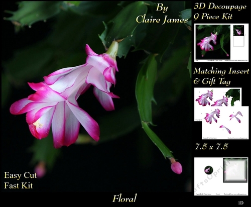 Botanical & Floral - Cactus Flower Christmas Rose - 3D Decoupage + Insert & Tag