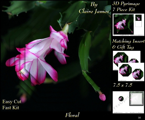 Botanical & Floral - Cactus Flower Christmas Rose - 3D Pyrimage + Insert & Tag