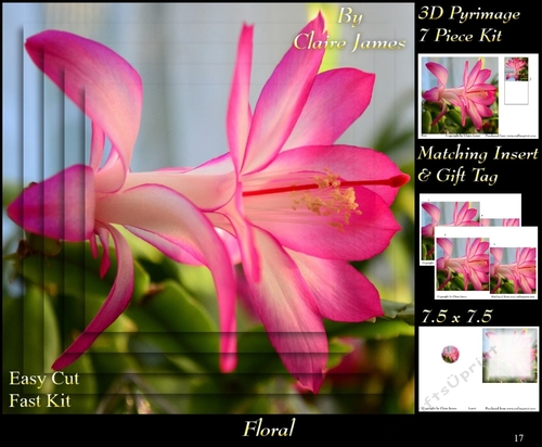 Botanical & Floral - Cactus Flower Christmas Rose 2 - 3D Pyrimage + Insert & Tag